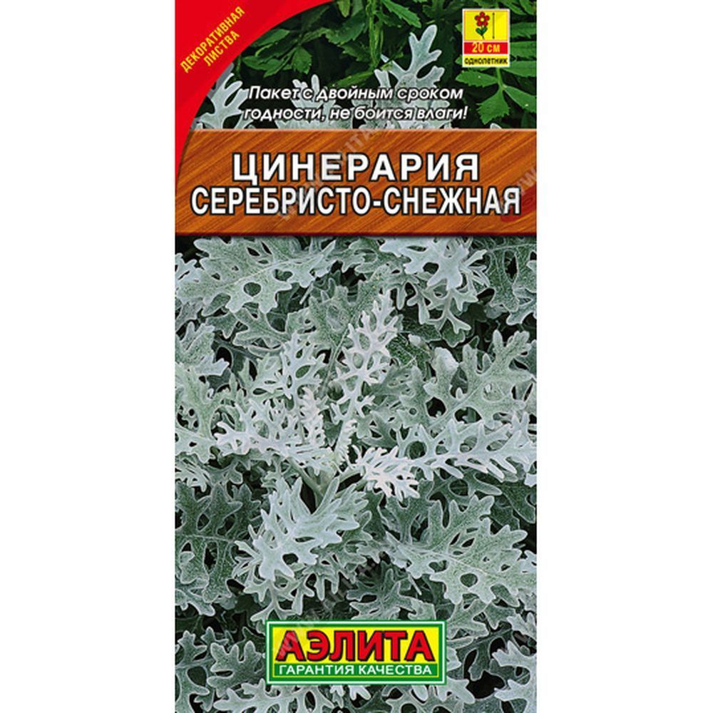 Цинерария Серебристо-снежная 0,1гр ЦП Аэлита 00-00571211