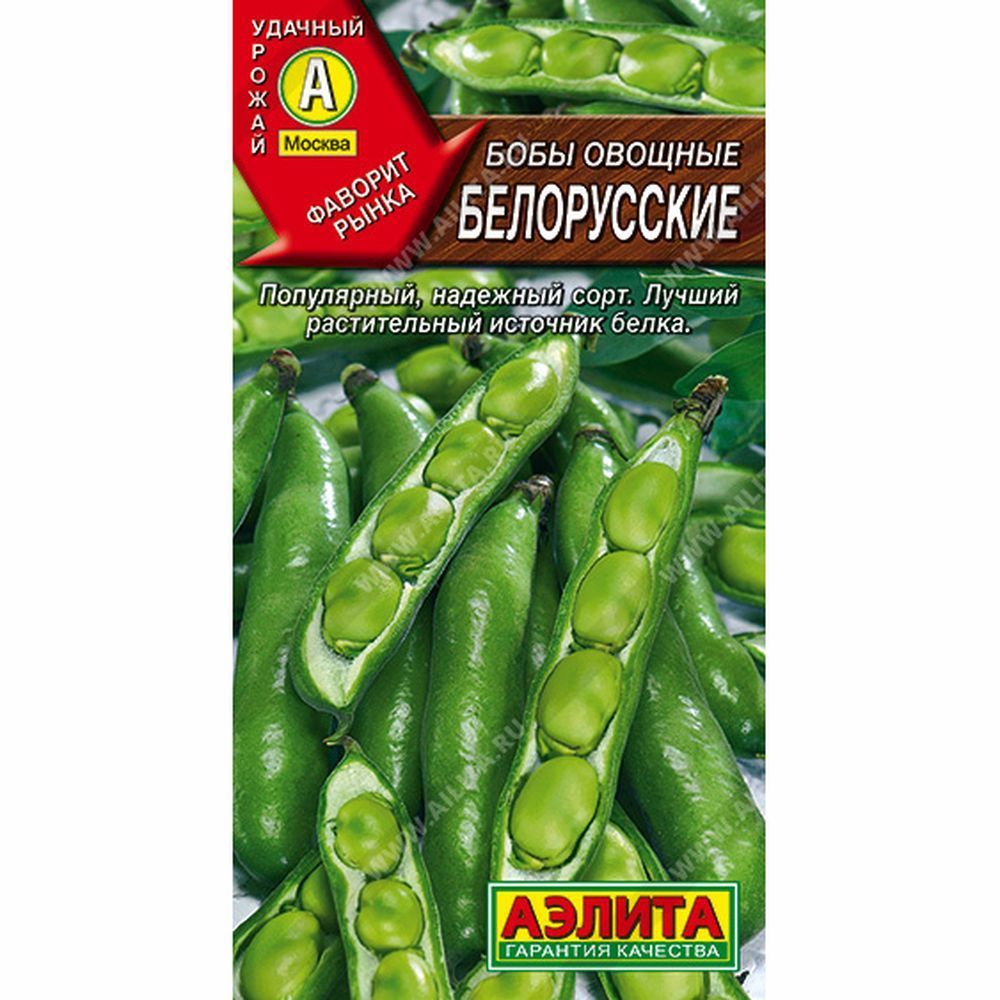 Бобы Белорусские овощные  среднеспелый 10 шт ЦП Аэлита